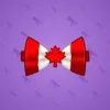 Bow Tie #4037