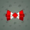 Bow Tie #4157