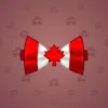 Bow Tie #4193