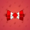 Bow Tie #4252