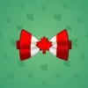 Bow Tie #4305