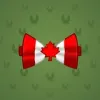 Bow Tie #447