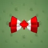Bow Tie #4621