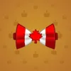 Bow Tie #4699