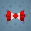 Bow Tie #5145