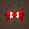 Bow Tie #5493