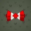Bow Tie #5897