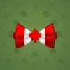 Bow Tie #6048