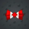 Bow Tie #6216