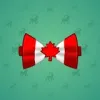 Bow Tie #6359