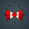Bow Tie #6384