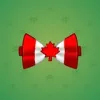 Bow Tie #6596