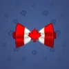 Bow Tie #6978