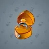 Diamond Ring #11
