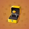 Diamond Ring #11904