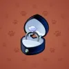 Diamond Ring #13715