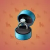 Diamond Ring #14969