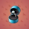 Diamond Ring #15893