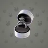 Diamond Ring #15989