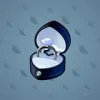 Diamond Ring #16471