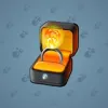 Diamond Ring #1828