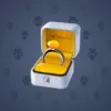 Diamond Ring #18605