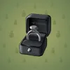 Diamond Ring #1894