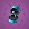 Diamond Ring #22494