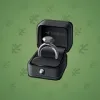 Diamond Ring #22941