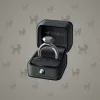 Diamond Ring #24588