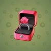 Diamond Ring #24827