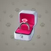 Diamond Ring #2665