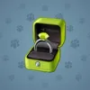 Diamond Ring #26650