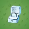 Diamond Ring #27027