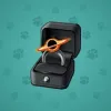Diamond Ring #2736