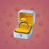 Diamond Ring #2925