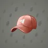 Durov’s Cap #1717