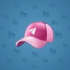 Durov’s Cap #204