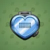 Heart Locket #249