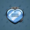 Heart Locket #924