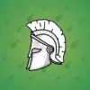 Heroic Helmet #875