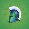Heroic Helmet #900