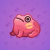 Kissed Frog #11591