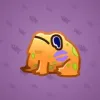 Kissed Frog #11896