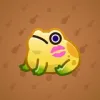 Kissed Frog #11926
