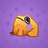 Kissed Frog #12804
