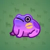 Kissed Frog #12901