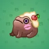 Kissed Frog #13211