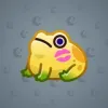 Kissed Frog #13216