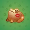 Kissed Frog #13229
